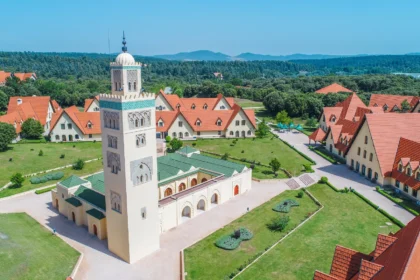 Ifrane, known as the 'Switzerland of Morocco,' features stunning alpine landscapes, charming European-style architecture, and serene lakes. A perfect getaway in the Atlas Mountains. #Ifrane