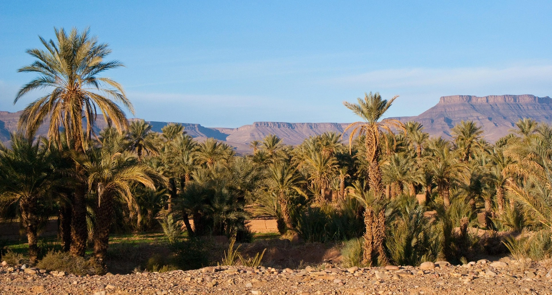 Scenic view of Souss Massa, Morocco – breathtaking landscapes, rich Berber culture, and diverse wildlife in the heart of southern Morocco